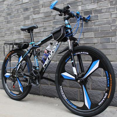 高标准泵道(Pump Track)进阶训练基地