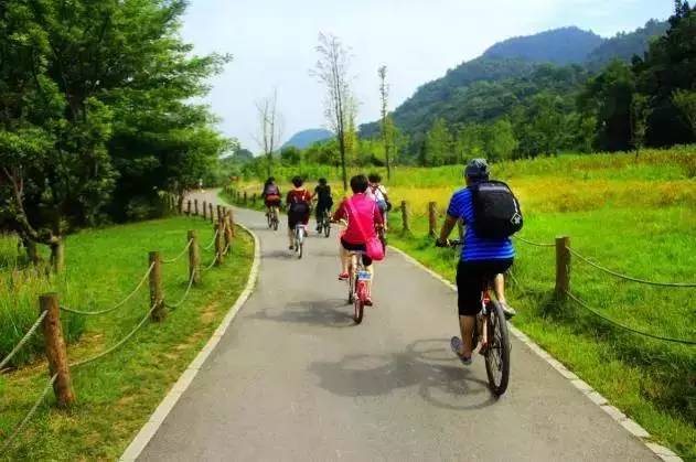 骑遇广西—2026环浩坤湖自行车赛在凌云县开赛(图1)