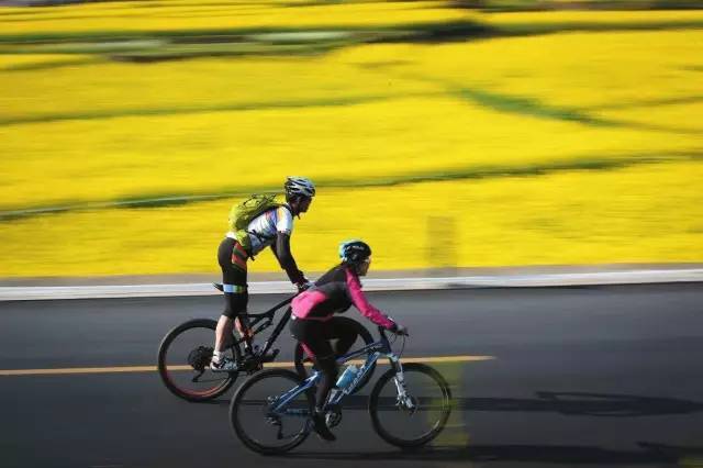 公路自行车(图1)